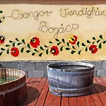 ホテル Csongor Vendeghaz: