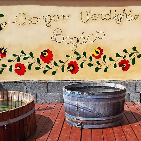 Ξενοδοχείο Csongor Vendeghaz: